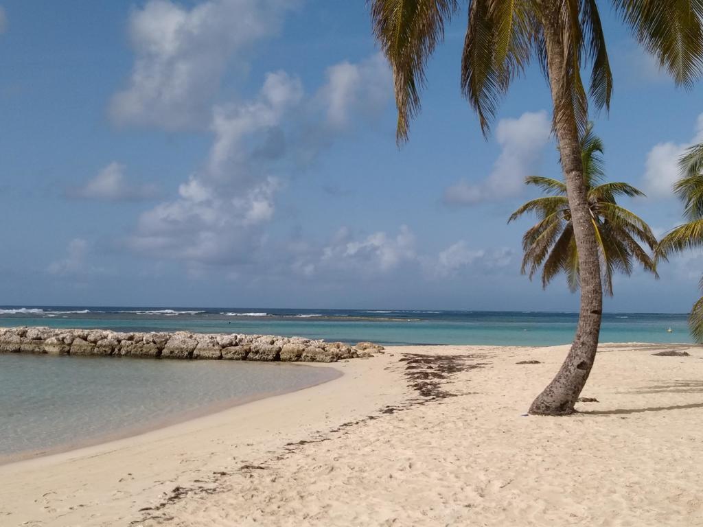 Appartements: Plage & Commerces A 200M Сент-Анн Экстерьер фото